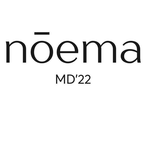 logo_noema.png