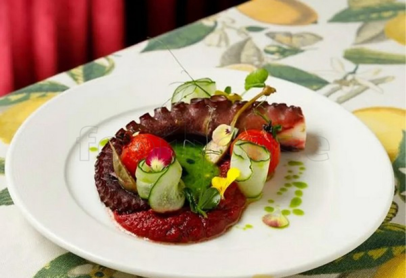 octopus_with_hummus.jpg